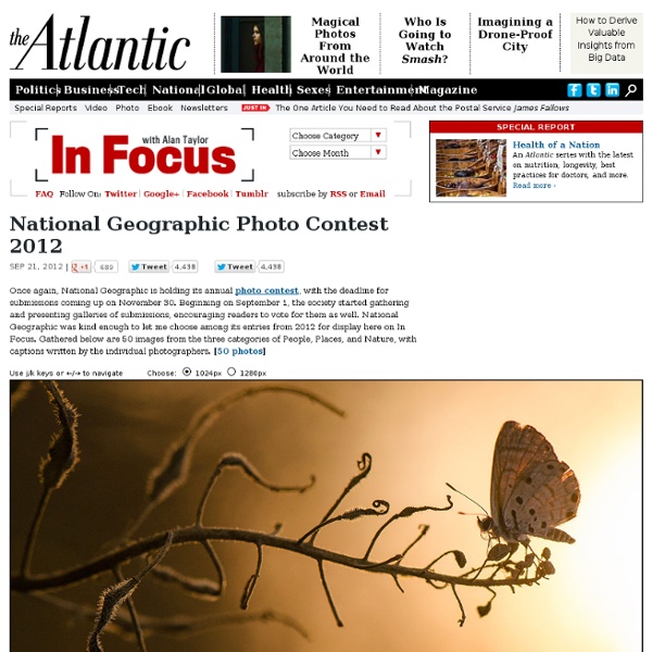 National Geographic Photo Contest 2012 - In Focus