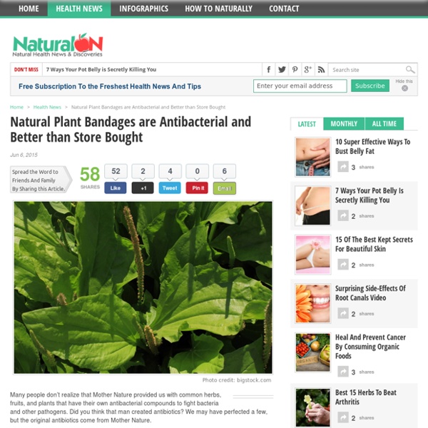 Natural Plant Bandages are Antibacterial and Better than Store Bought