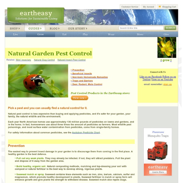 Natural Garden Pest Control: Safe, Non-Toxic Methods & Solutions