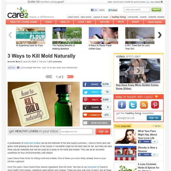 3 Ways to Kill Mold Naturally