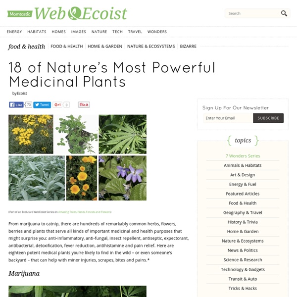 18 of Nature's Most Powerful Medicinal Plants