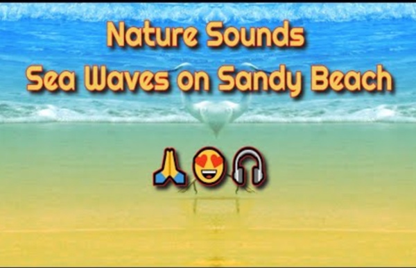 Nature Sounds Sea Waves on the Sandy Beach□□□ - M&L Mind & Soul
