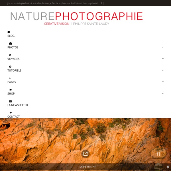 NATUREPHOTOGRAPHIE – CREATIVE VISION