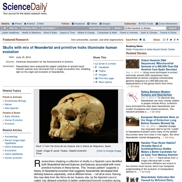 Skulls with mix of Neandertal and primitive traits illuminate human evolution