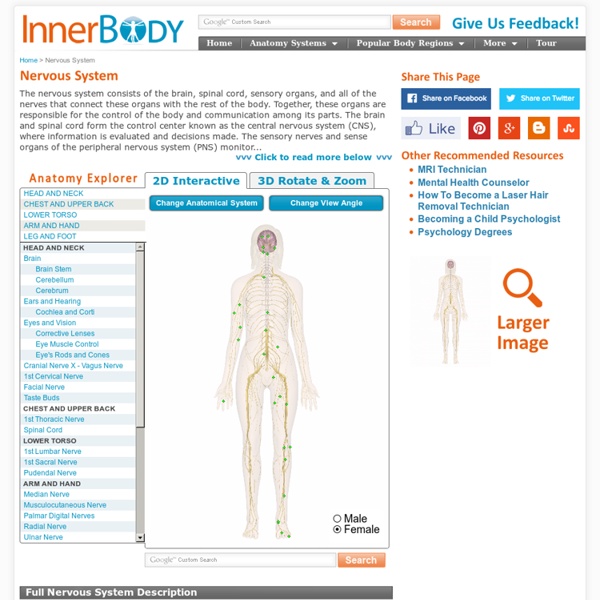 Nervous System: Interactive Views and Information