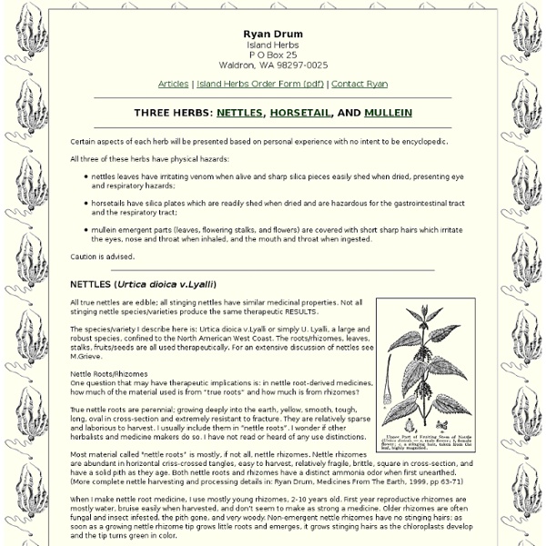 Three Herbs: Nettles, Horsetail and Mullein