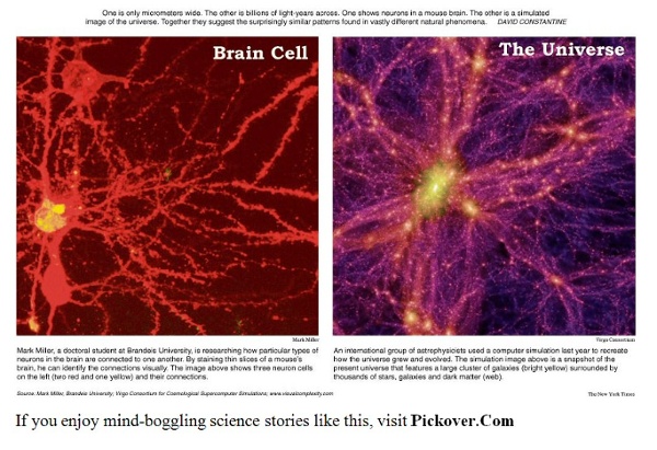 Neuron-galaxy.jpg (JPEG Image, 1008x633 pixels)