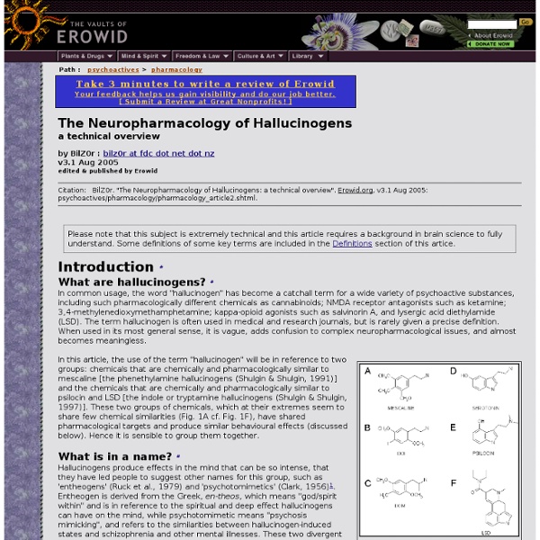 Pharmacology Vaults : Neuropharmacology of Hallucinogens : a technical overview, by BilZ0r (v3.1 Aug 2005)
