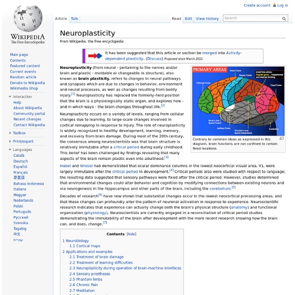 Neuroplasticity