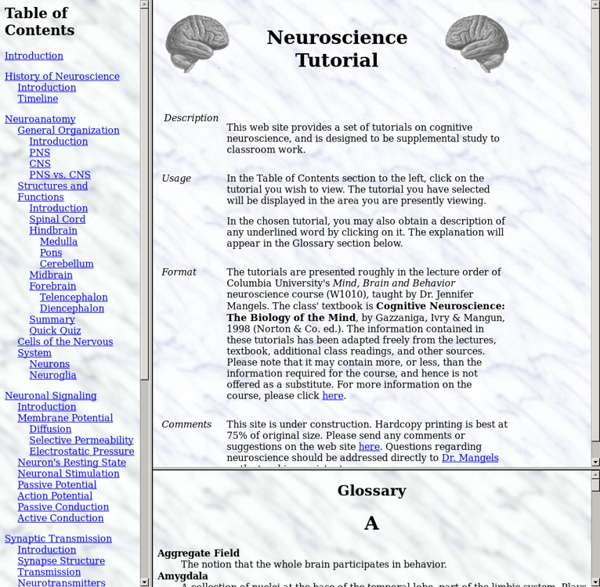 Neuroscience Tutorial