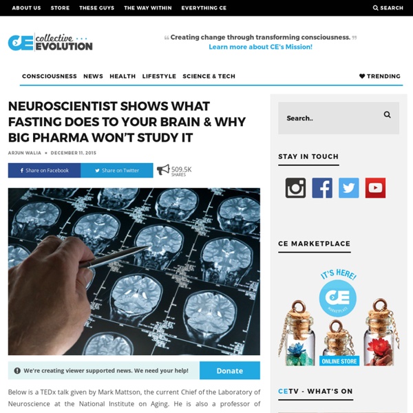Neuroscientist Shows What Fasting Does To Your Brain & Why Big Pharma Won’t Study It – Collective Evolution
