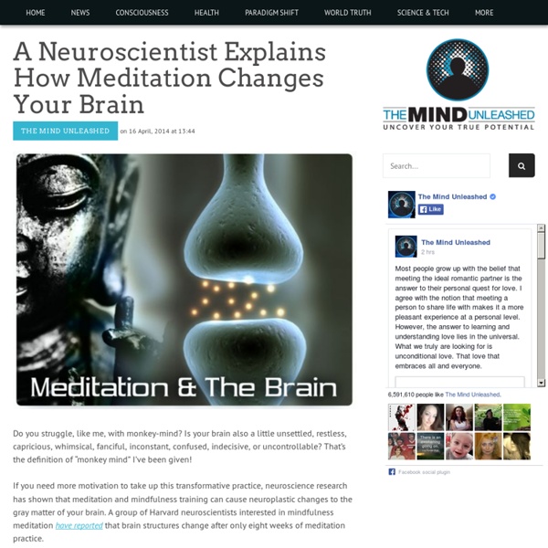A Neuroscientist Explains How Meditation Changes Your Brain