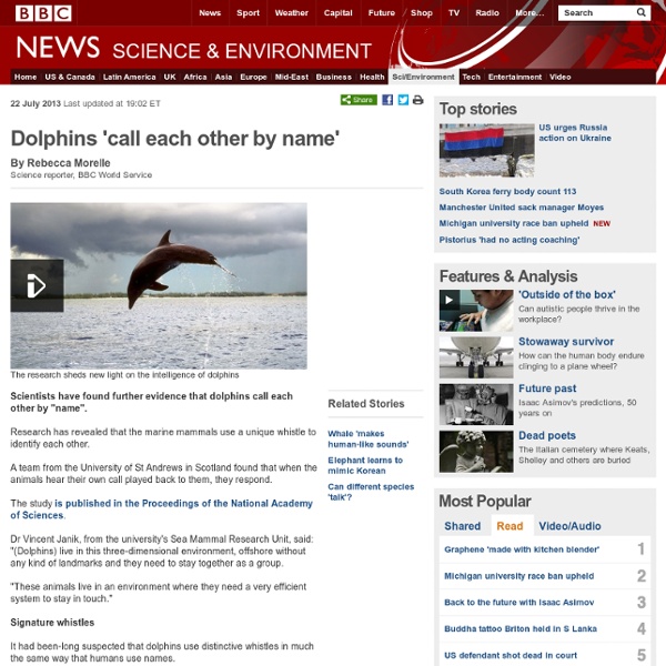 Dolphins 'call each other by name'