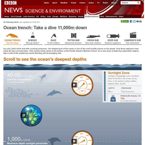 Ocean trench: Take a dive 11,000m down
