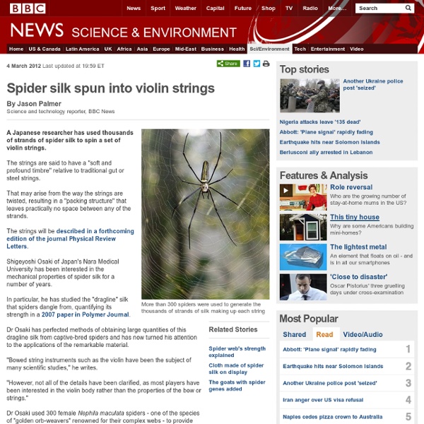Spider silk spun into violin strings