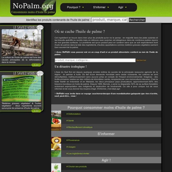 NoPalm.org : liste de produits alimentaires sans huile de palme