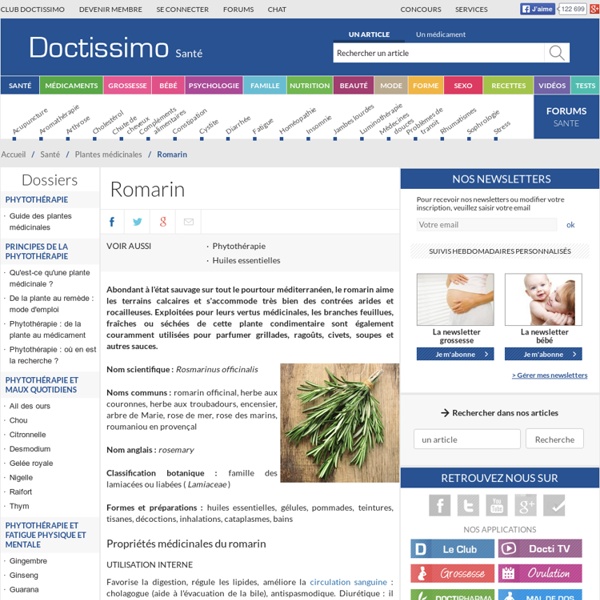 Romarin (Rosmarinus officinalis) : propriétés, bienfaits de cette plante en phytothérapie