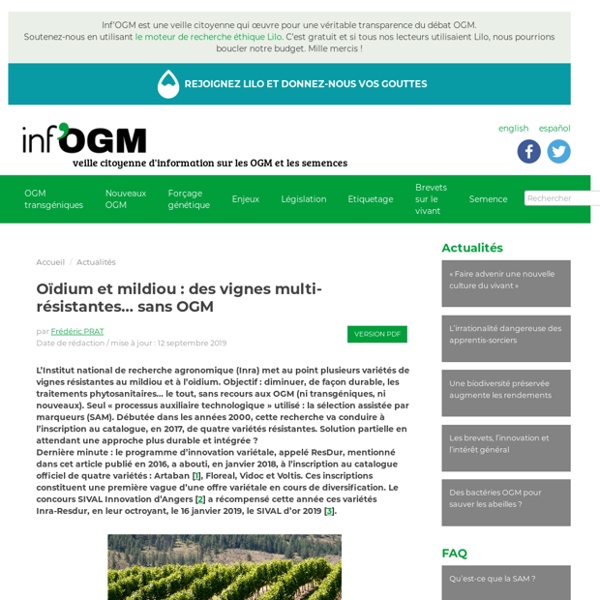 Oïdium et mildiou : des vignes multi-résistantes... - Inf'OGM