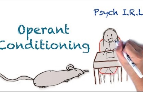 What is Operant Conditioning?