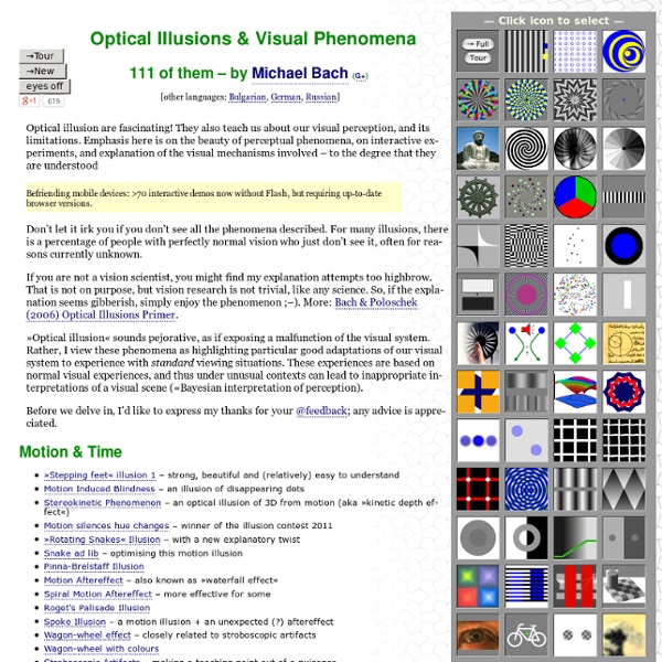 Optical Illusions and Visual Phenomena