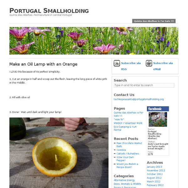 Make an Oil Lamp with an Orange – Portugal Smallholding