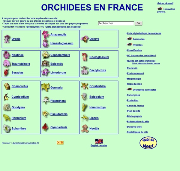 Orchidées en France Sommaire