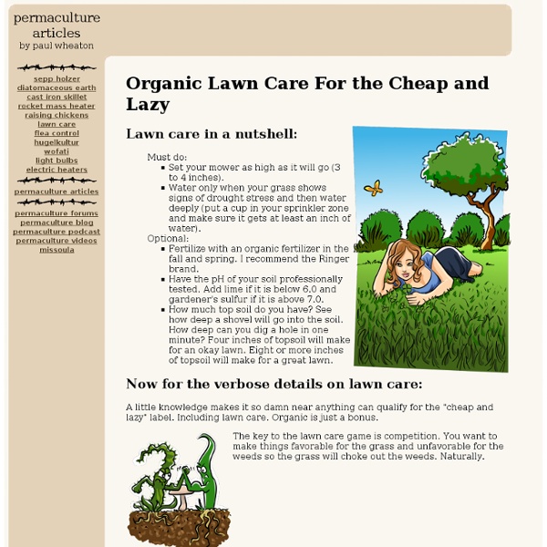 Organic Lawn Care For the Cheap and Lazy