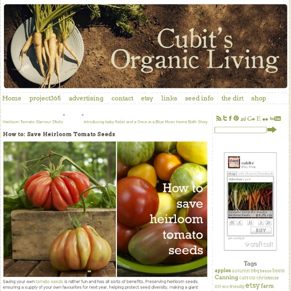 Cubit's Organic Living » How to: Save Heirloom Tomato Seeds