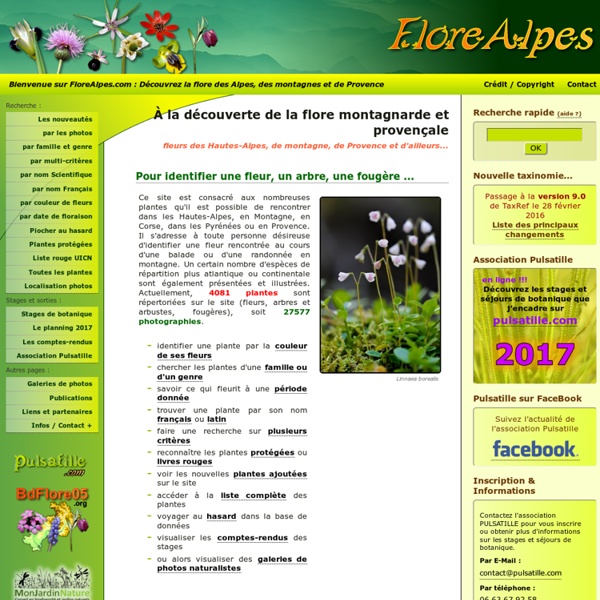 FloreAlpes : Fleurs et arbres des Hautes-Alpes, de montagne et de provence. Organisation de stages de botaniques.