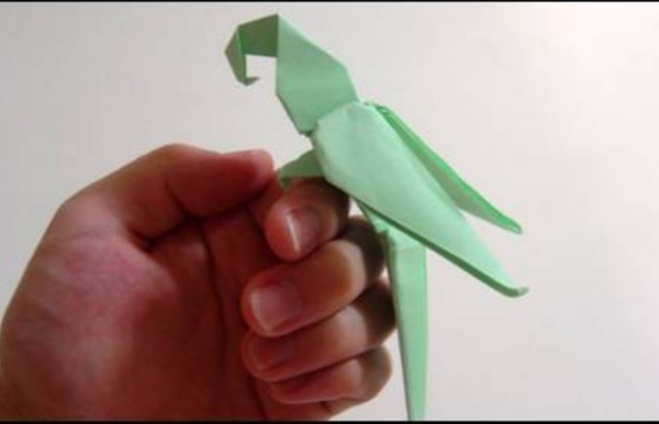 Origami Macaw Parrot - Arara de Origami