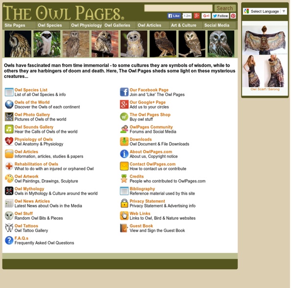 The Owl Pages - About Owls - photos, calls, books, art, mythology and more.