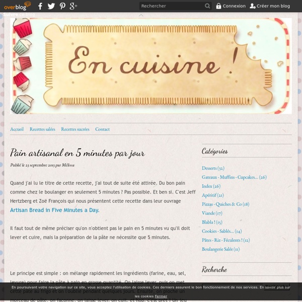 Pain artisanal en 5 minutes par jour - En cuisine !