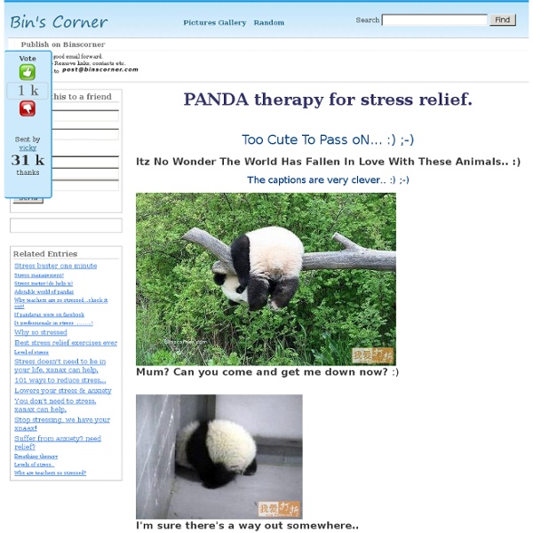 PANDA therapy for stress relief.