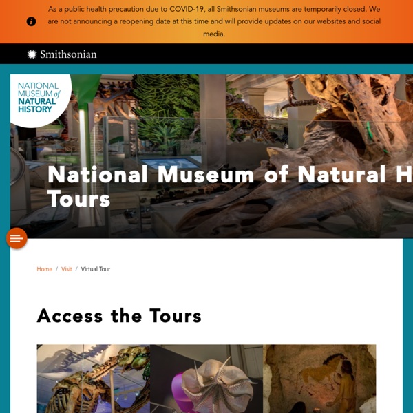 Virtual Tour Panoramic Images Smithsonian National Museum Of Natural