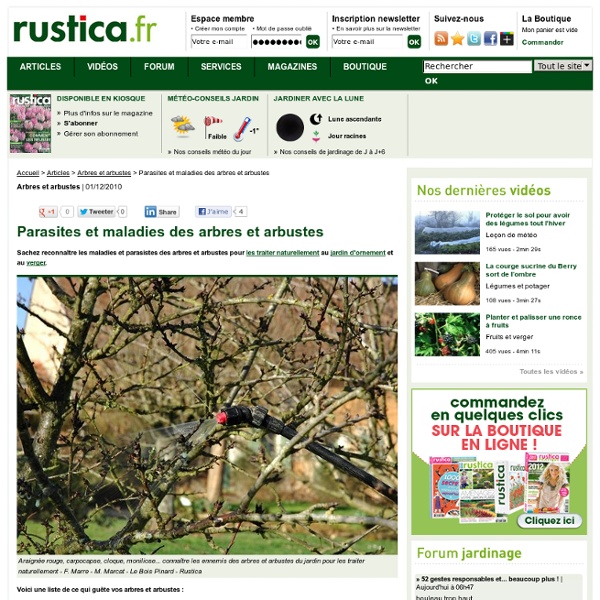 Parasites et maladies des arbres et arbustes - Rustica, le site de la planète jardin