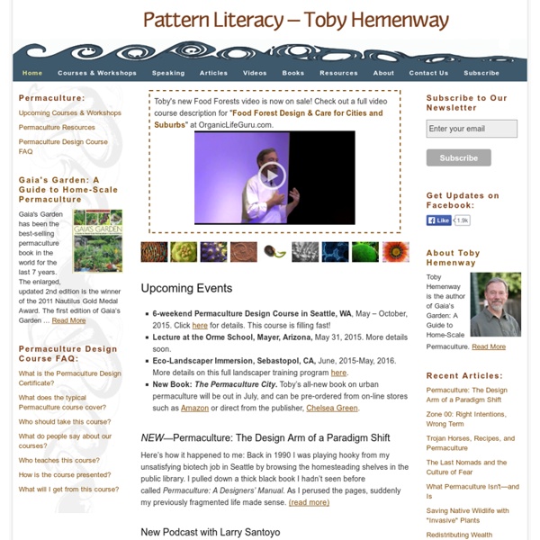 The Center for Pattern Literacy – Toby Hemenway