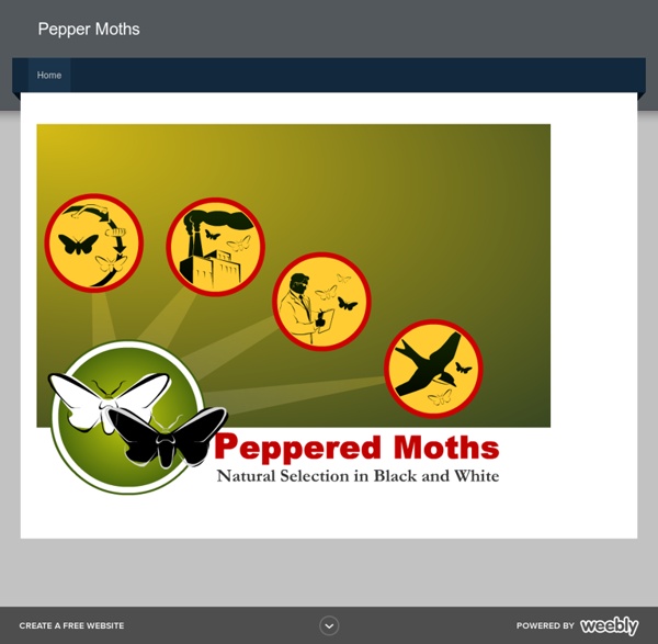 Pepper Moths - Home