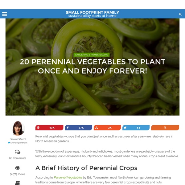 Perennial Vegetables: Years of Bounty