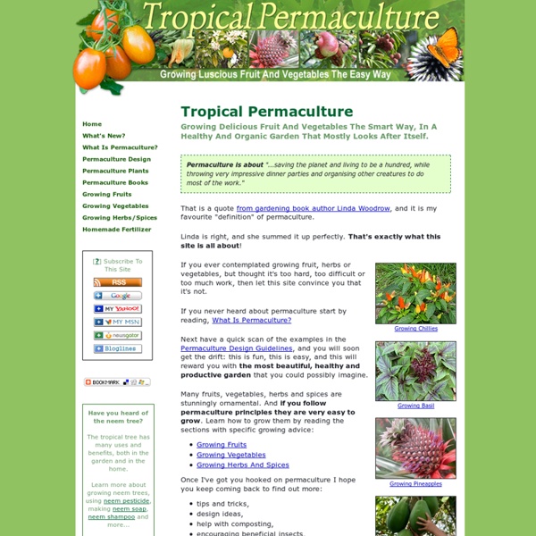 Tropical Permaculture Gardens: Growing Fruits And Vegetables The Easy Way