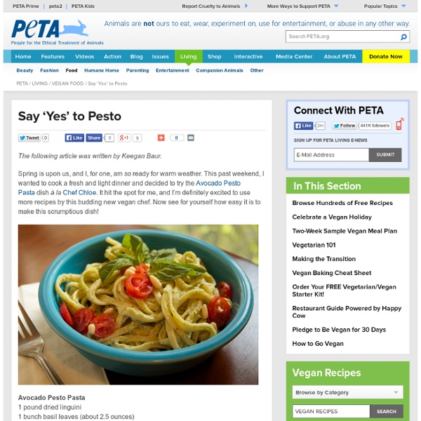 Say 'Yes' to Pesto