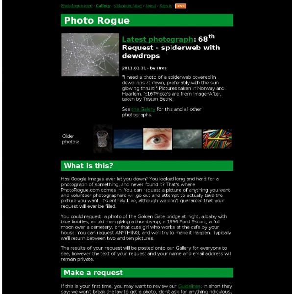 PhotoRogue.com - Request an Original Photograph