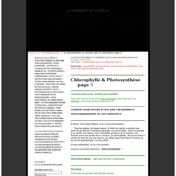 La photosynthèse ou comment agit la chlorophylle (page 3) · La semence de curieux