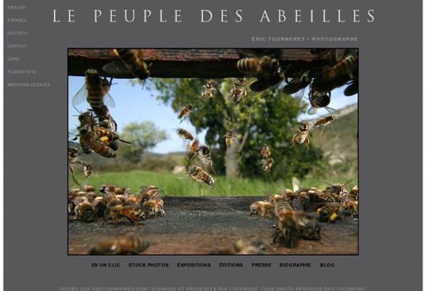 LE PEUPLE DES ABEILLES - photos d’abeilles - photothèque d’apiculture - expositions