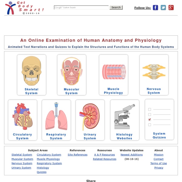 Human Anatomy and Physiology