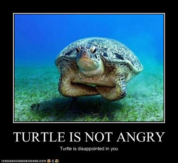 Upset Turtle :D