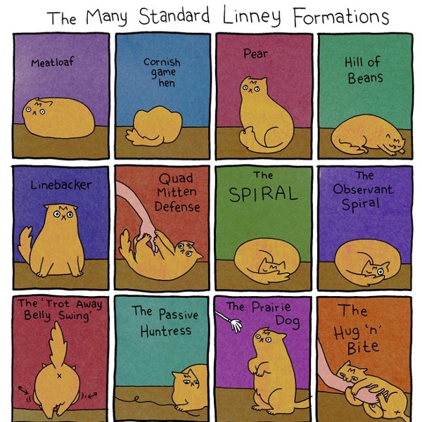 Cat formations