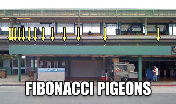 Pigeons.jpg (JPEG Image, 640x380 pixels)