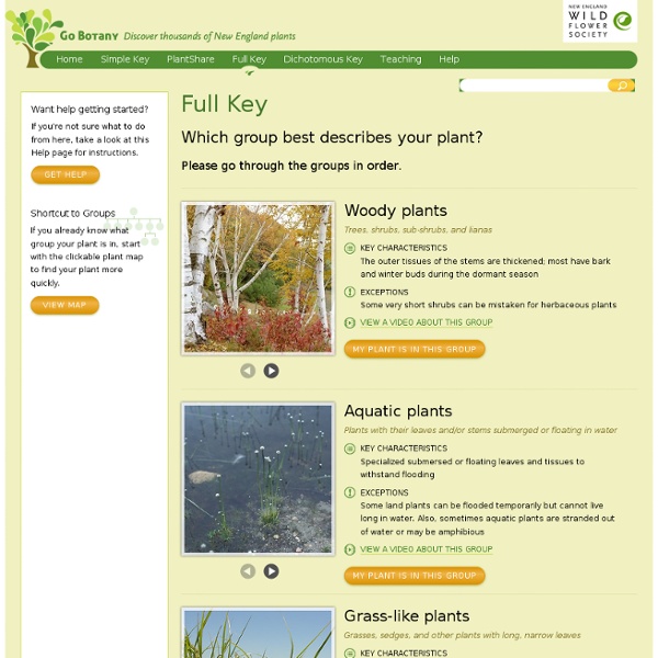 Full Key for Plant Identification: Go Botany