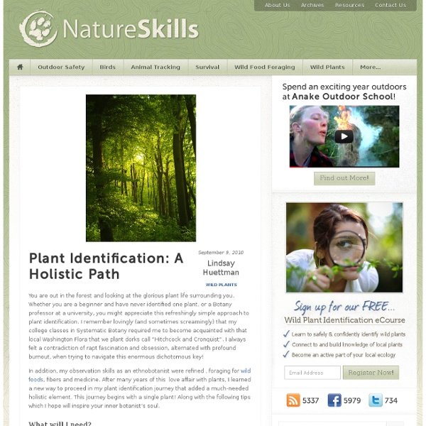 Free Wild Plant Identification eCourse