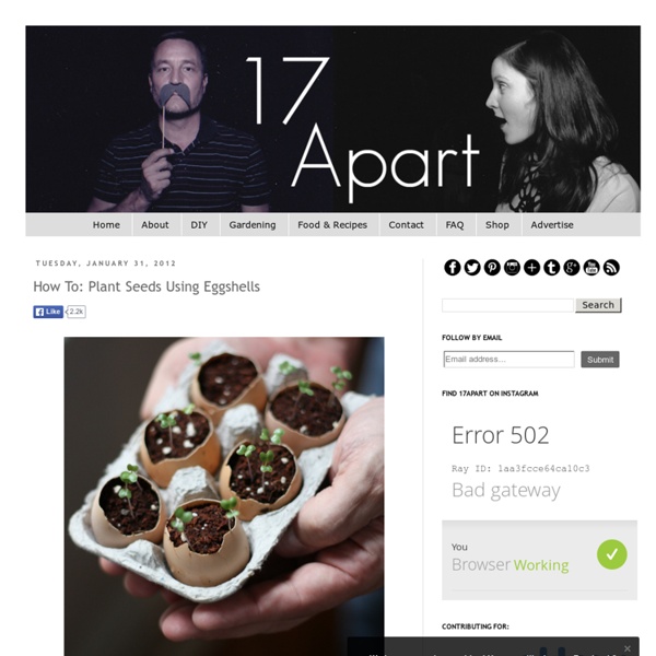 17 Apart: How To: Plant Seeds Using Eggshells